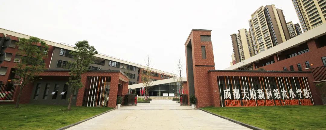 新区幼儿园招聘最新信息,新开镇中心幼儿园招聘