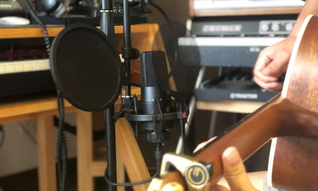 seelectronics小振膜,seelectronics是什么麦克风