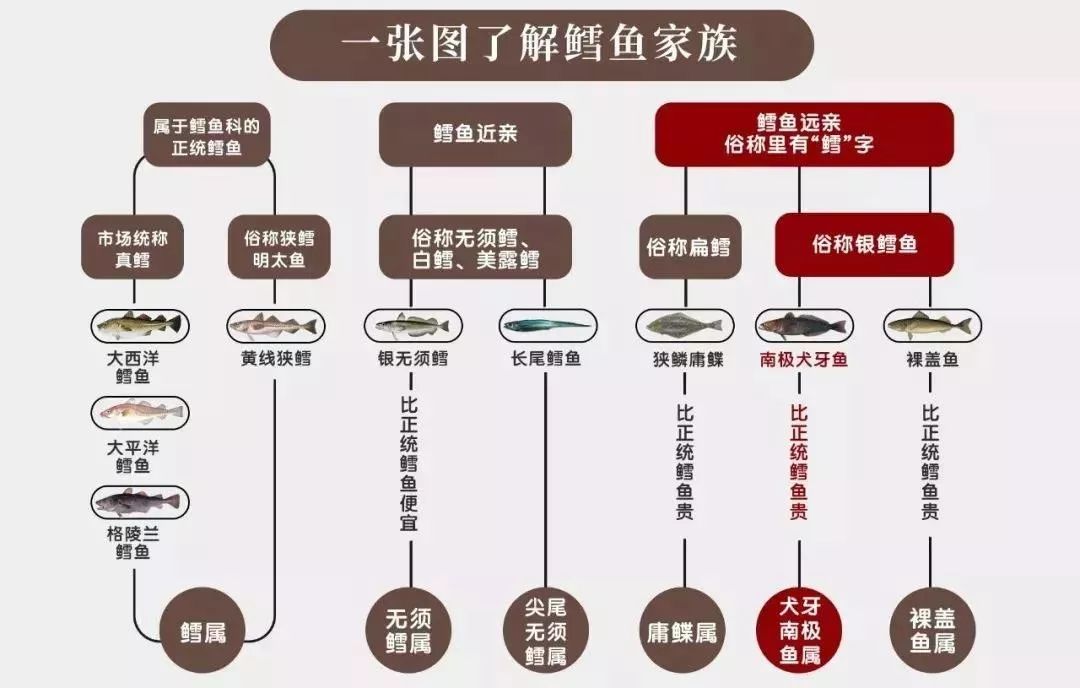 大人和小孩都能吃的鳕鱼做法,鳕鱼不放盐怎么做宝宝喜欢吃