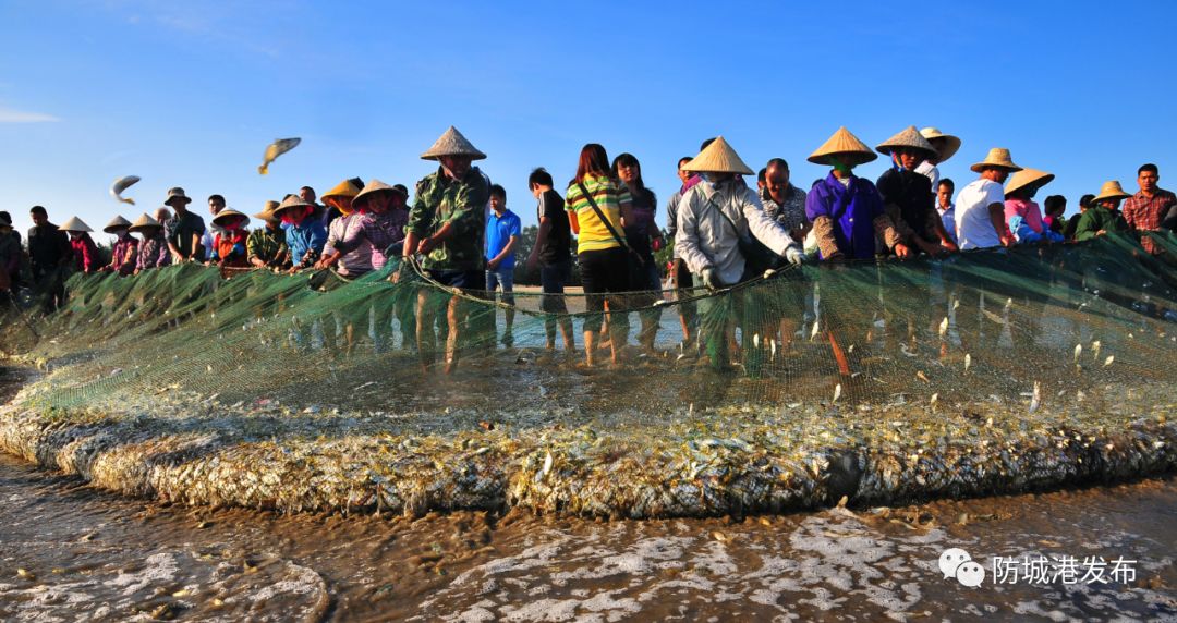 防城港休渔期可以赶海吗,禁渔期防城港码头买海鲜