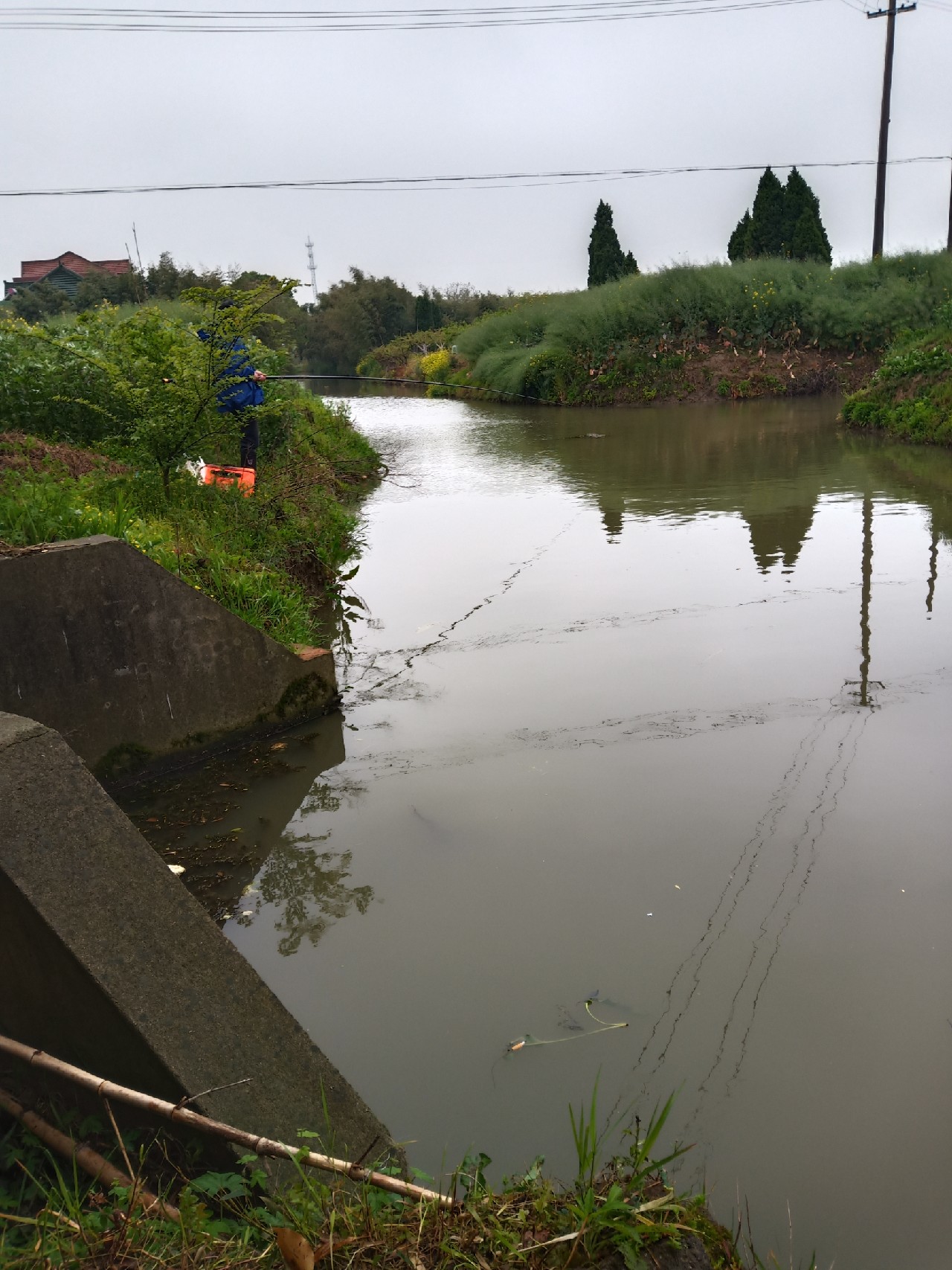 台钓vs路亚哪个更好玩,传统钓比台钓更容易钓获大鲫鱼