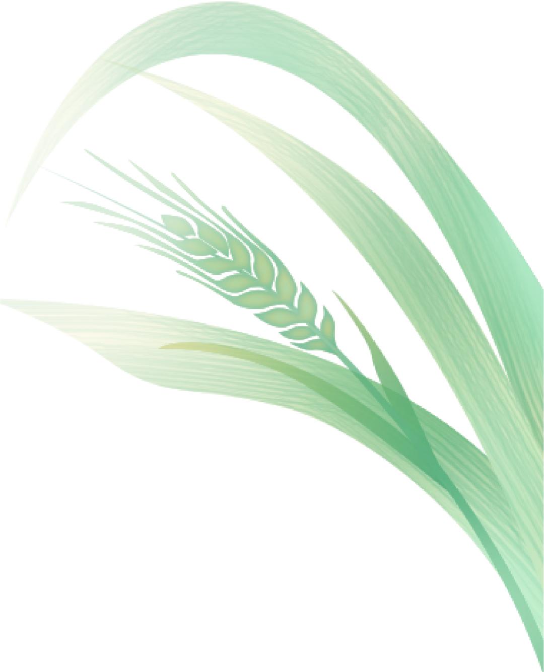 厉害了！把手机变成新农具，萧山所前女镇长带着村嫂直播带货！