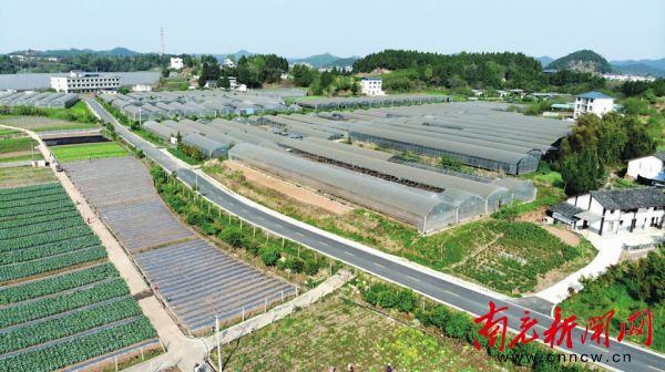 守好群众菜篮子米袋,2020南充市粮食产量
