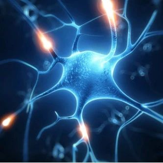 药事服务知识,药事服务