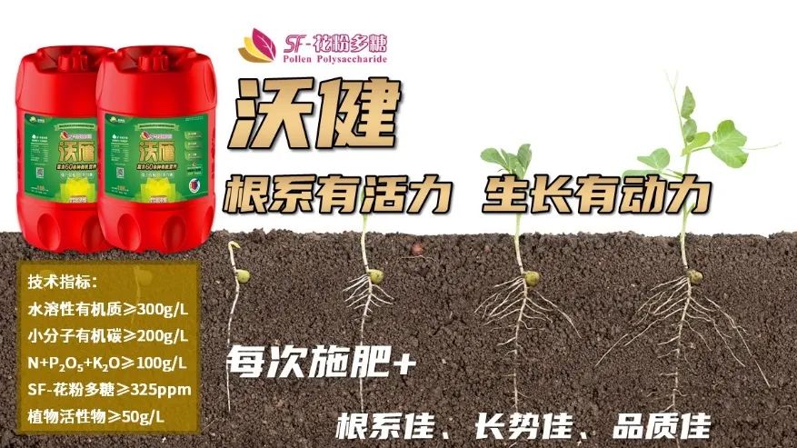新一代生物刺激剂,植物源生物刺激剂