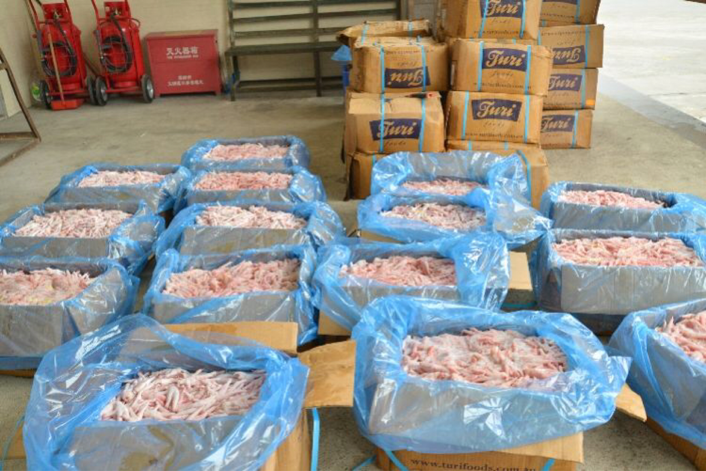 上海查获走私案件,上海查违法行为