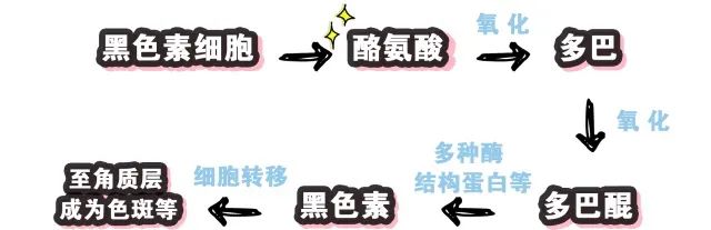 美白淡斑10天见效果,祛黄淡斑美白精华推荐