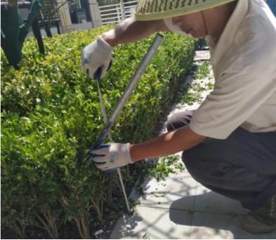 城市景观片区设计案例图,如何做出优秀的居住区景观设计