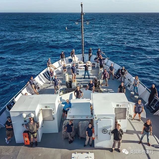 深海发现40多米的水母,深海发现巨型水母