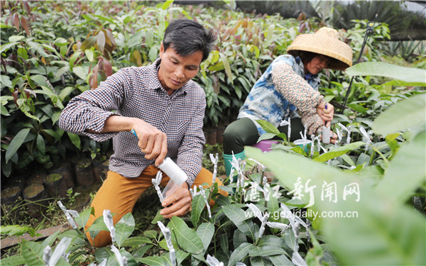 贫困户创业小生意,贫困户成为创业人