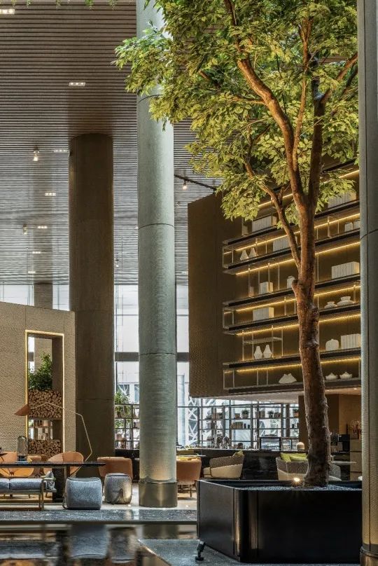 深圳市顶级十大酒店下午茶,深圳下午茶酒店推荐