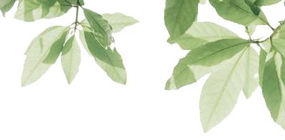 厉害了！把手机变成新农具，萧山所前女镇长带着村嫂直播带货！