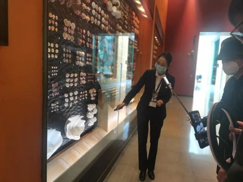 还有人从国外寄来20多只果蝠标本？海淘代购注意了，邮寄蜥蜴、盆景入境，可能会入刑