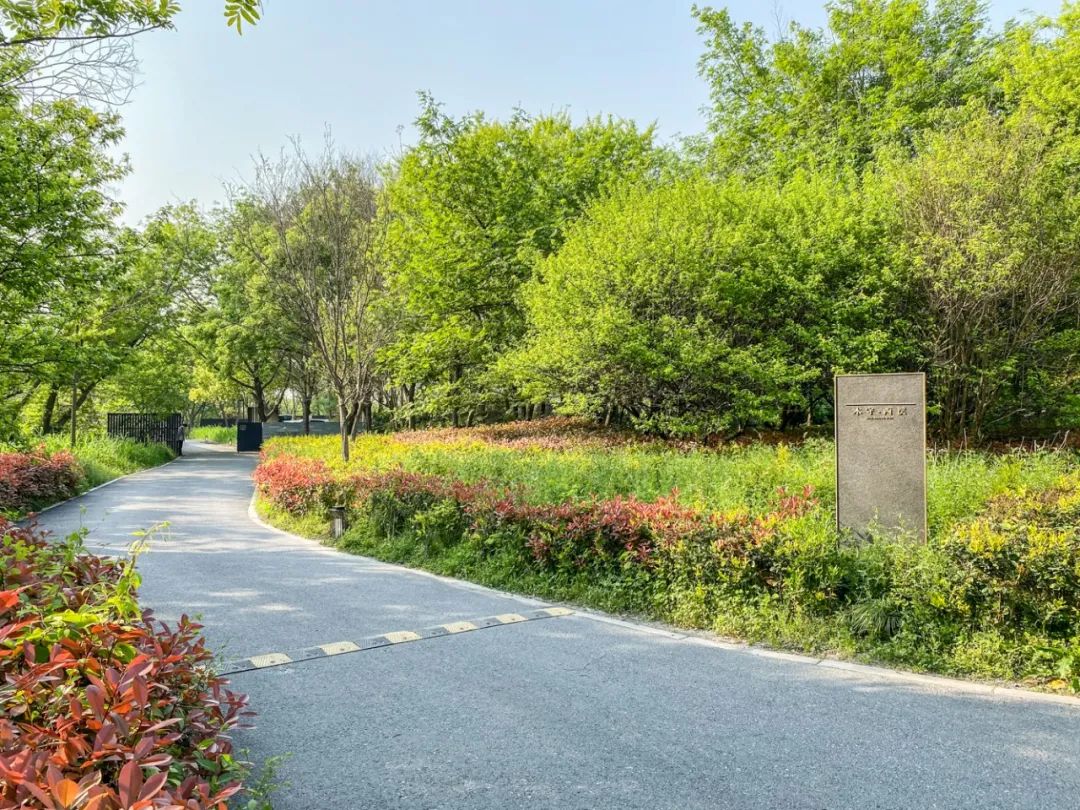 西溪度假酒店推荐,杭州木守西溪美宿