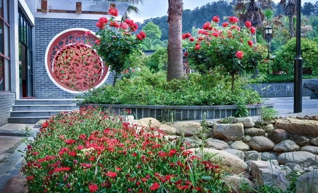 三里畈温泉度假村游玩,三里畈温泉二日游攻略