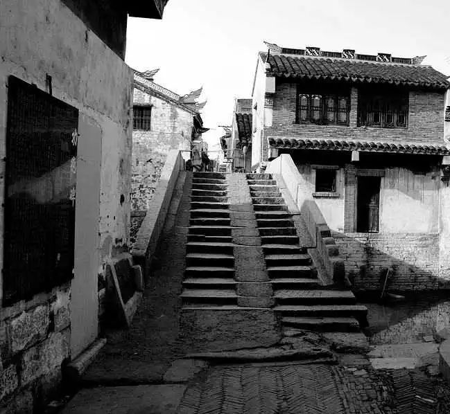 本月之星,本周之星视频