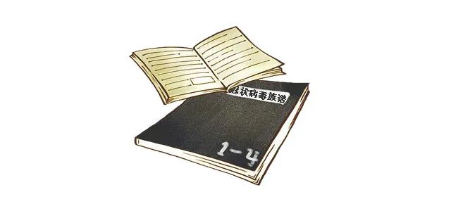 冠状病毒真相曝光,新型冠状病毒族谱