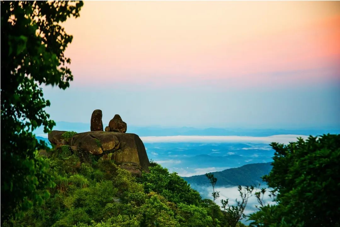 茶香禅韵入梦完整视频,世外桃源神仙度假地