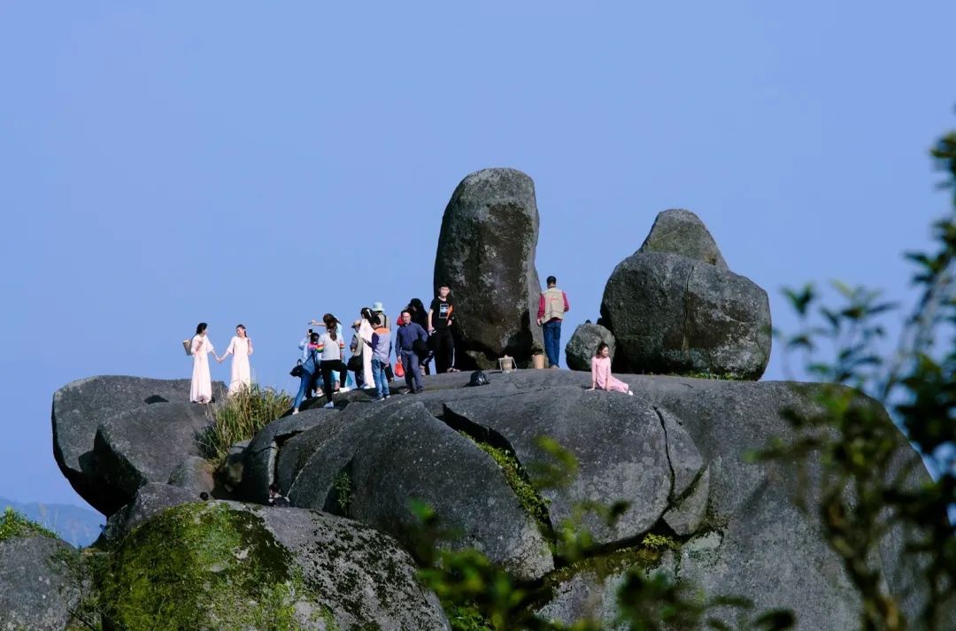 茶香禅韵入梦完整视频,世外桃源神仙度假地