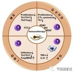 间充质干细胞治疗银屑病最新消息,间充质干细胞与类风湿性关节炎