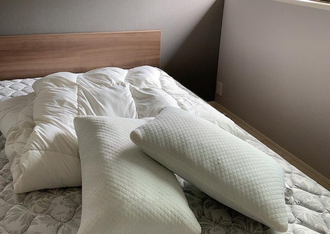 为什么房子里总有小毛毛,为什么房子里面会长蘑菇科学探究