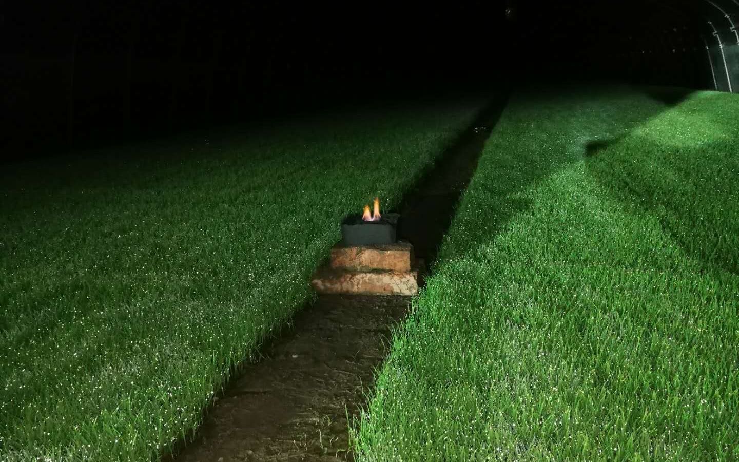 黑龙江冷空气灾害,黑龙江即将迎来寒潮