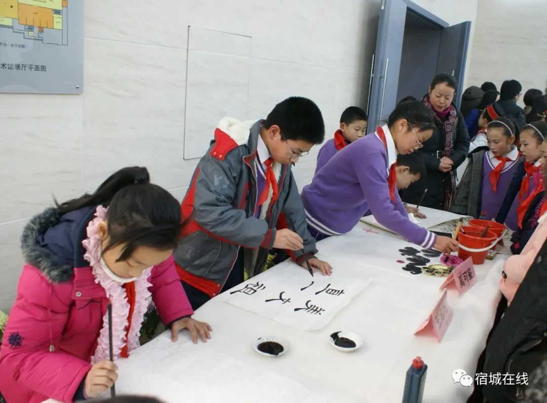 宿城有哪些学校,宿城区学校有哪些