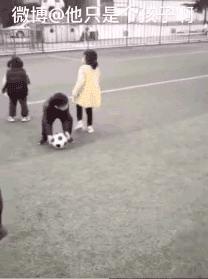 2020年，千万别看这些钢铁直男，因为…会笑到吐血的哈哈哈哈哈哈哈