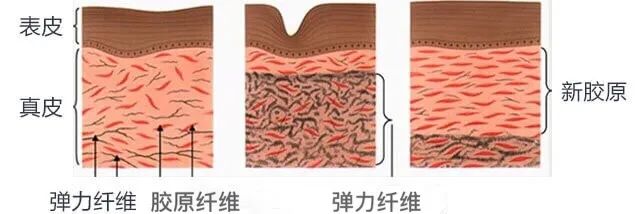 21天全测评,21天真实测评