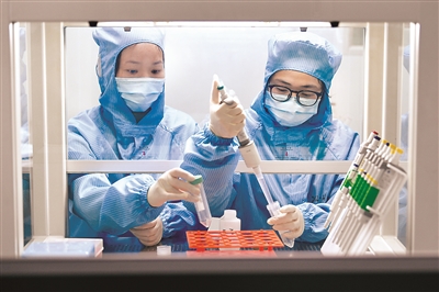 核酸检测与抗体检测哪个更准确,核酸检测知多少