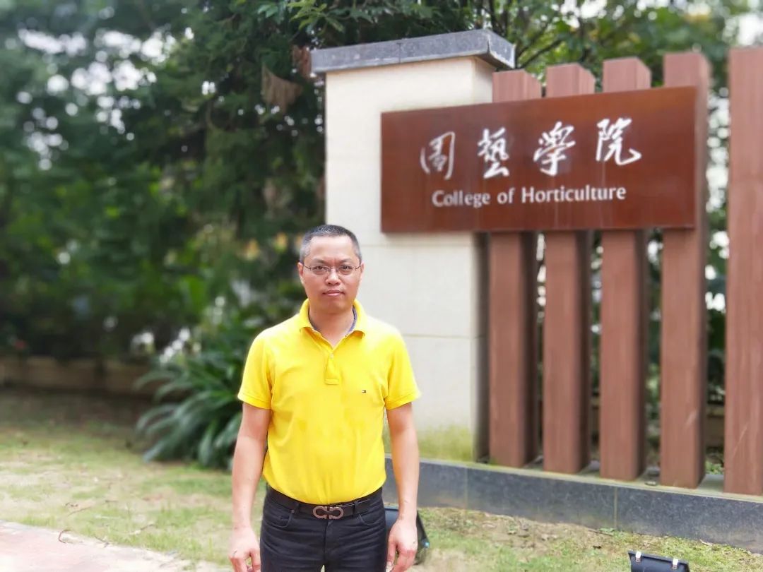 正宗安溪好茶,安溪正宗茶