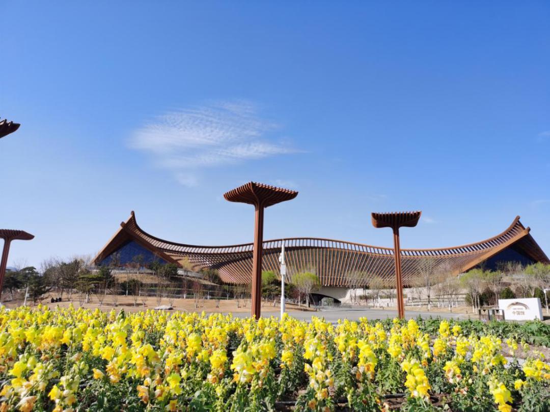 春天游世园地址,春天带你去游玩