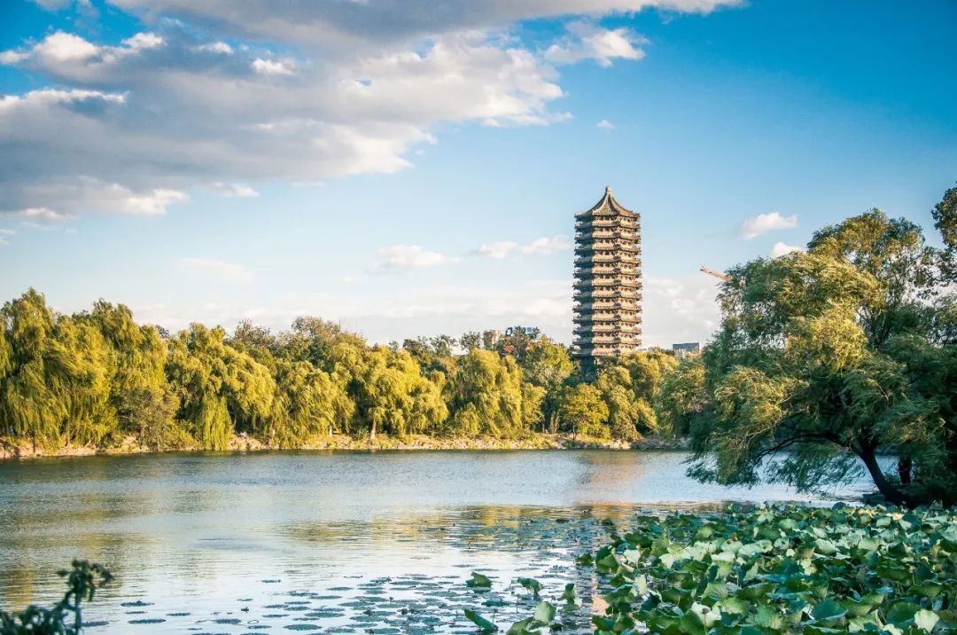 北京大学学位评定委员会内容,北京大学学位评估