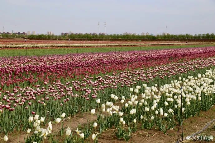 天津小众打卡地,天津五一人少的好玩景点