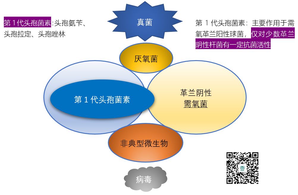 图说抗菌药物的抗菌谱，再也不会记不住了
