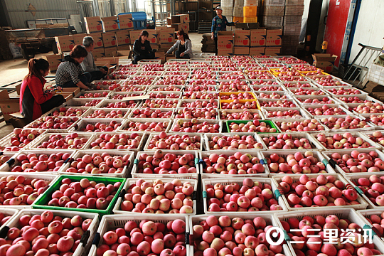 印台风采,印台工业转型示范区