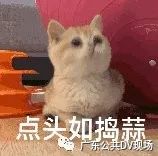 发朋友圈说别人判刑了负什么责任 (发朋友圈赔80万是真的吗)