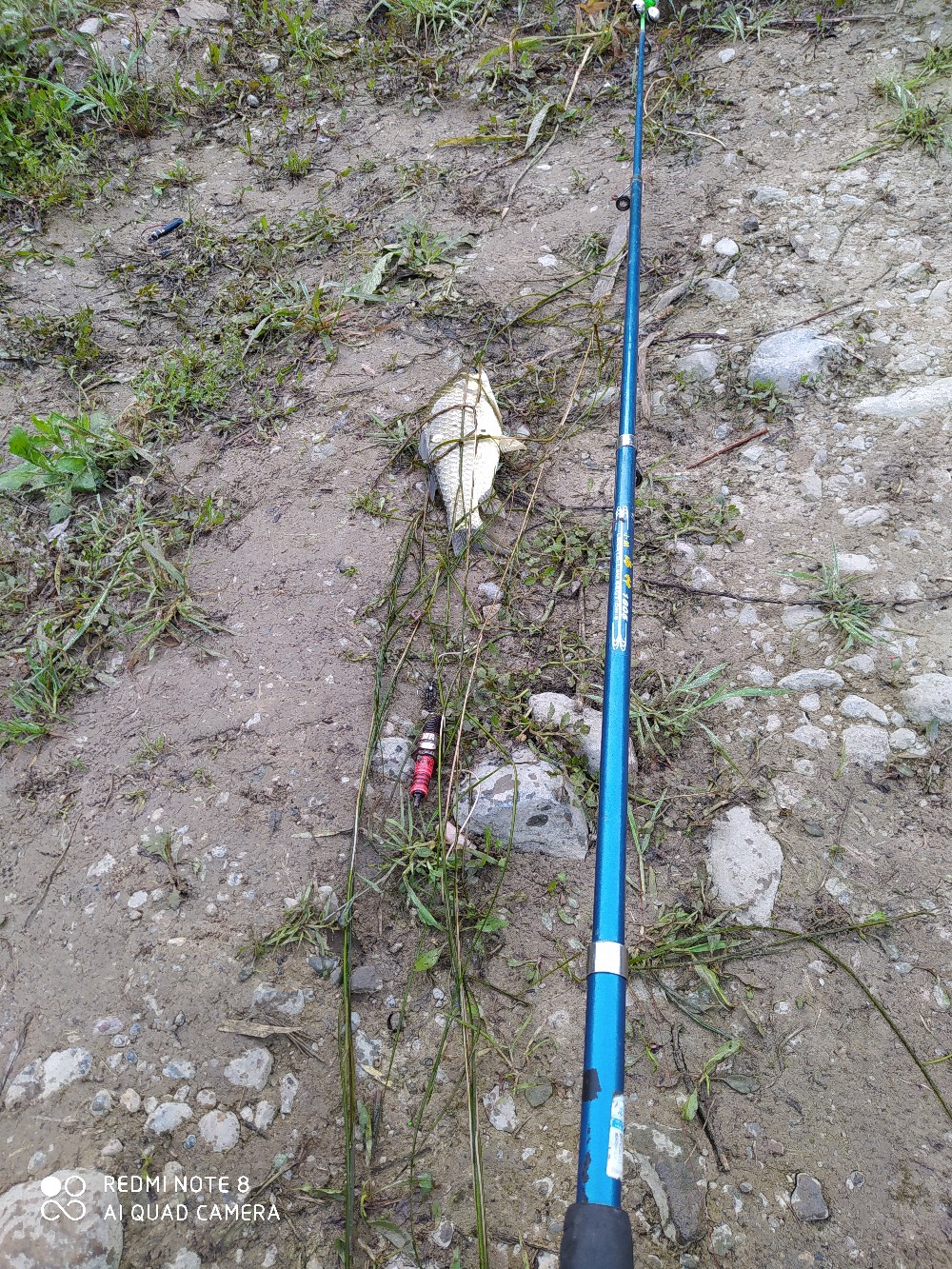 海竿串钩钓大鱼技巧和方法,海竿串钩怎么钓最灵活图解