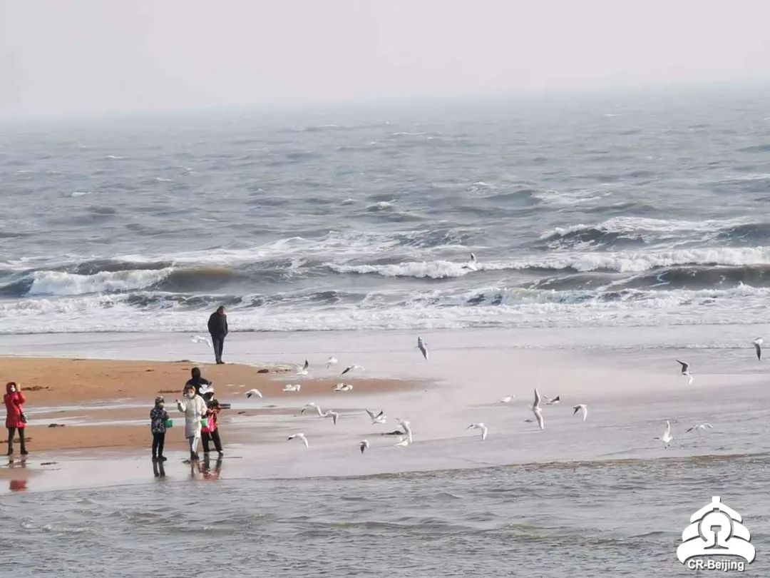 北戴河看海是免费的吗,北戴河五一看日落