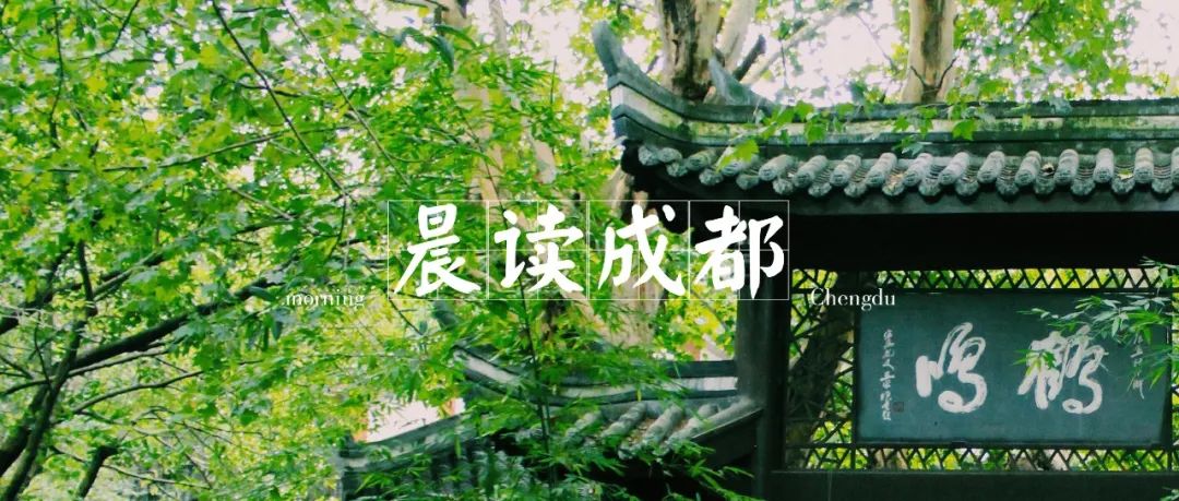 成都职工养老保险转居民养老保险,成都市城乡居民养老保险转移成功