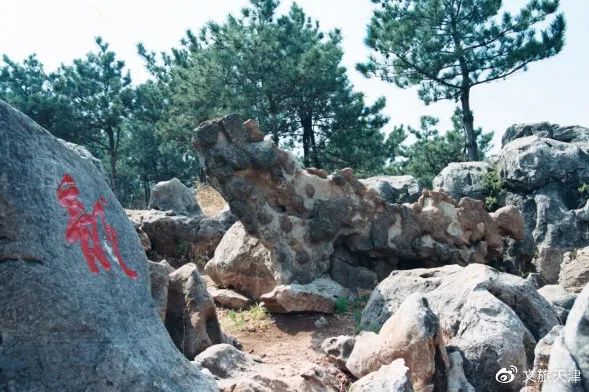 五一旅游天津门票,天津故宫免费旅游时间