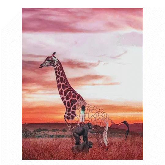 严选课|不会PS的人，到底错过了多少机会？