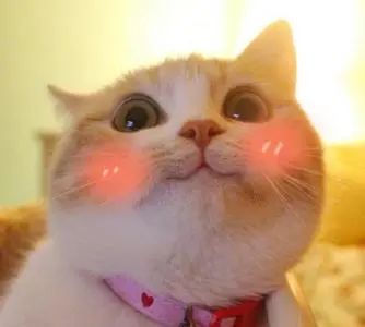 520没有收到鲜花礼物又有何妨呢,520没收到礼物521还有吗