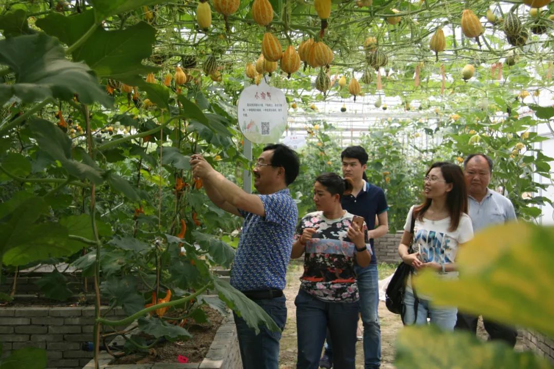 职工疗养旅游有哪些项目,职工疗休养都玩什么