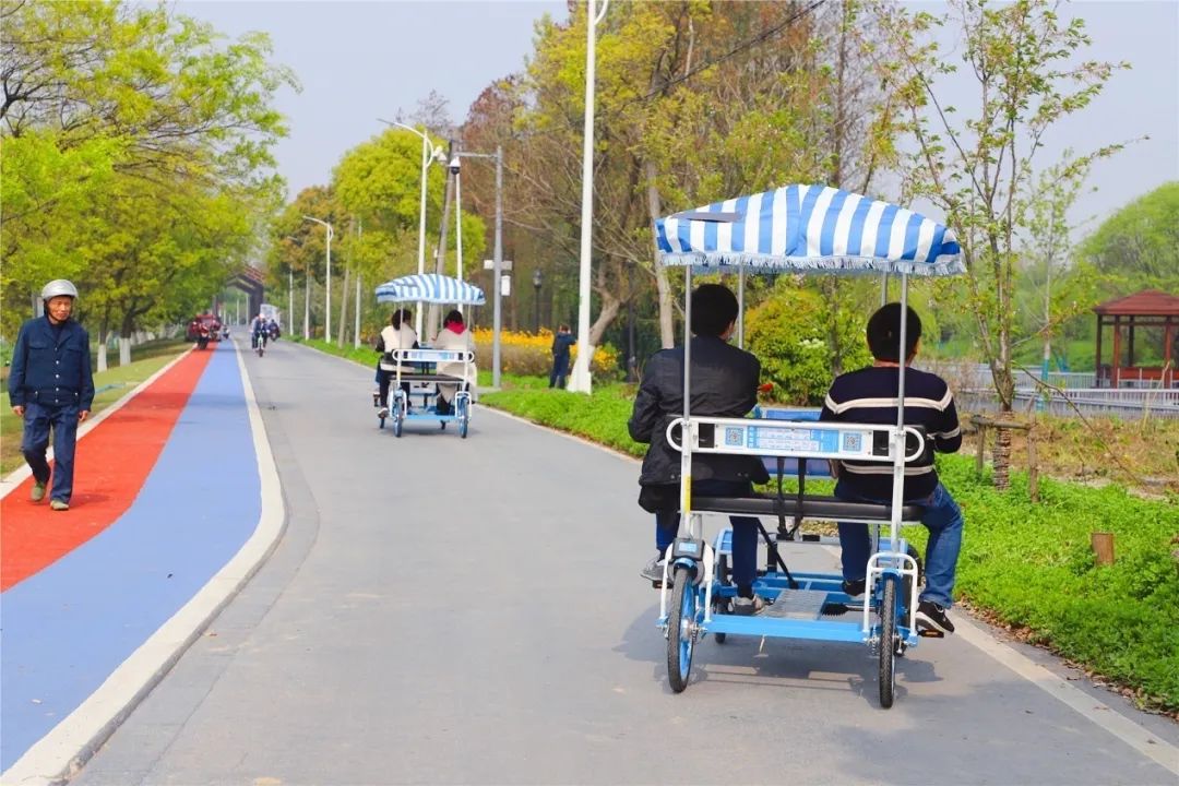 健身步道最新视频,健身走起跟着节奏嗨起来