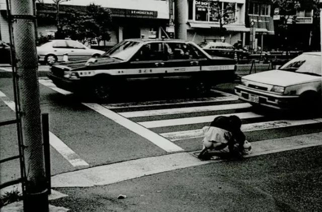 日本在世当代艺术家,日本当代艺术家太阳花