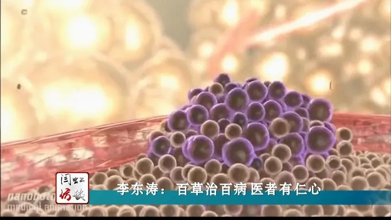 闫虹访谈一二三四,闫虹访谈2017