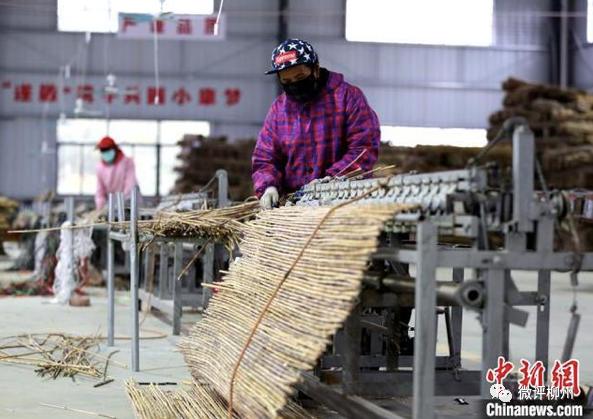 融安县贫困户脱贫,广西融安县沙子乡贫困农村