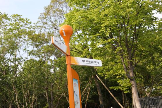 竞速新赛道,竞速三选一