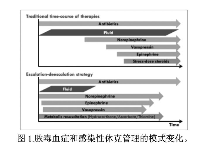 休克的微循环改善机制图,休克液体治疗思路